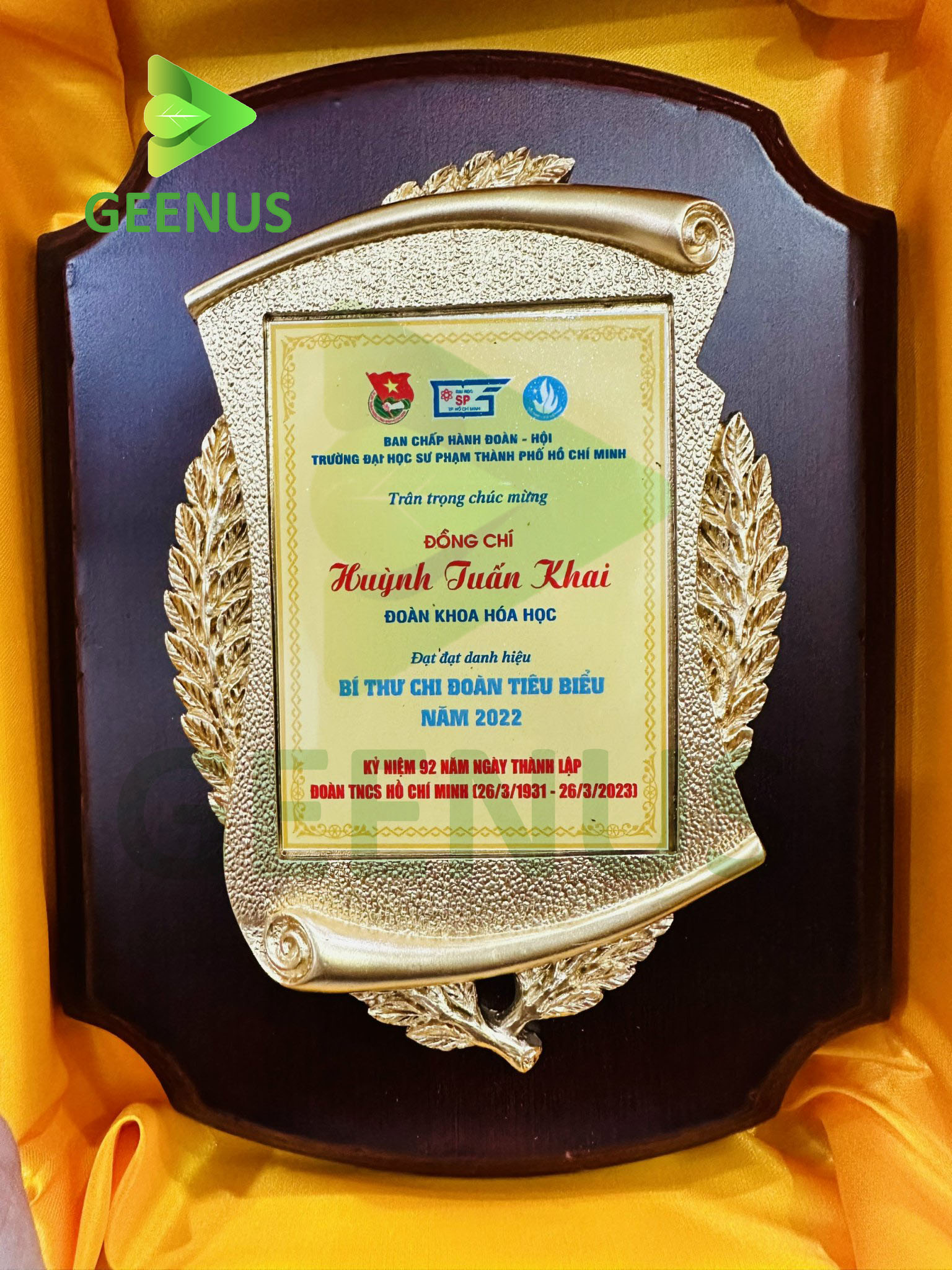 Biểu trưng gỗ đồng 09