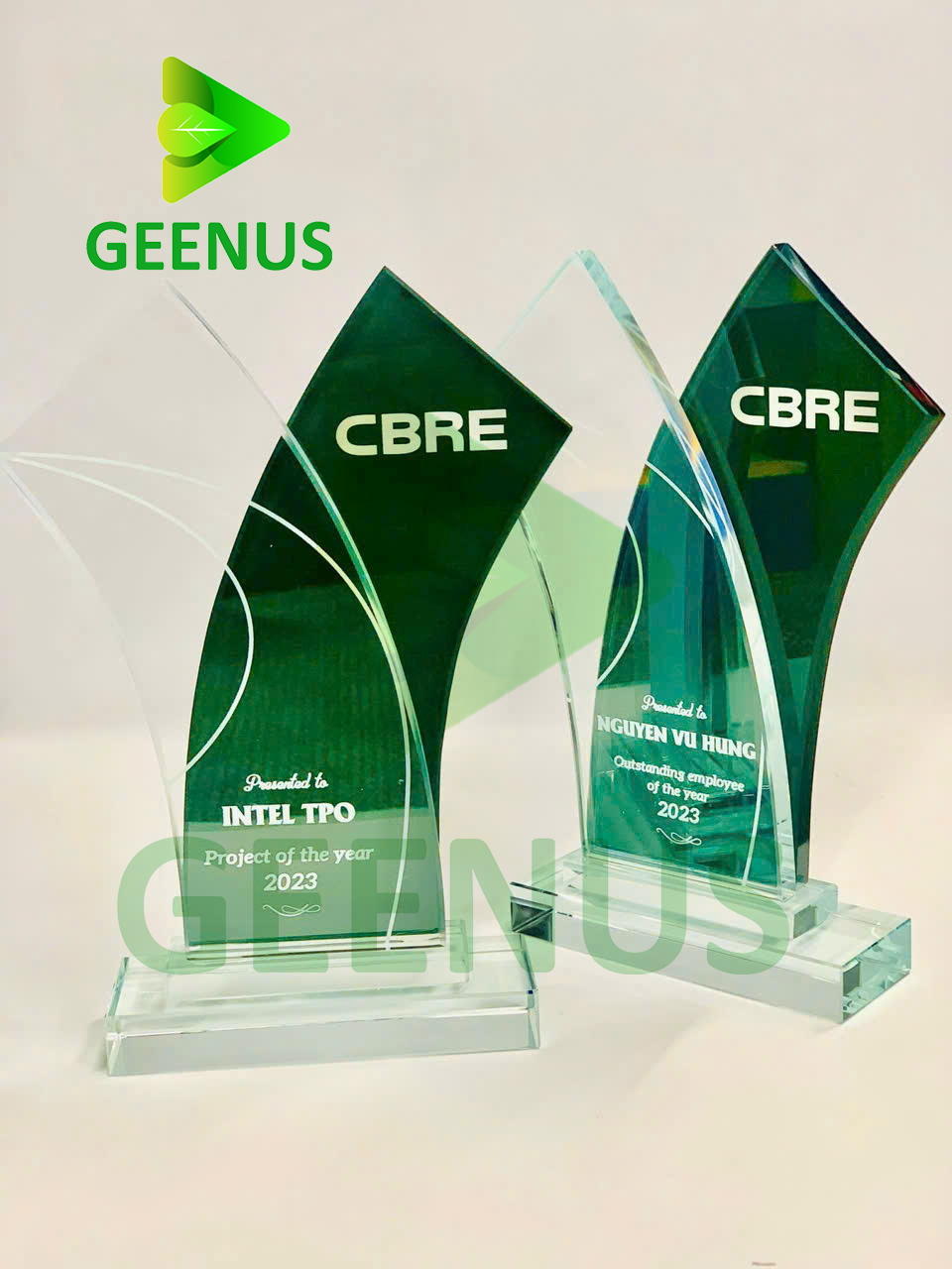 Biểu trưng pha lê 10