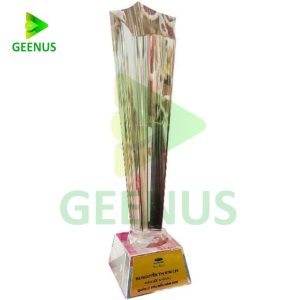 Biểu trưng pha lê 11