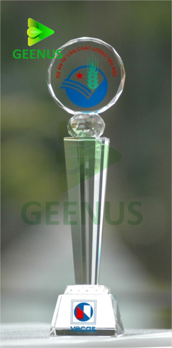 Biểu trưng pha lê 13