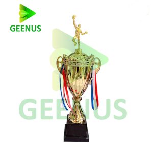 Cúp bóng chuyền 01