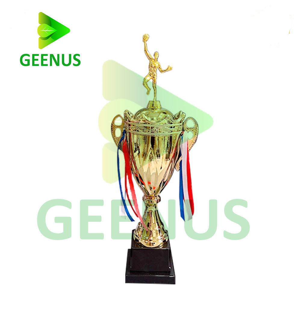 Cúp bóng chuyền 01