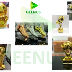 Giải cá nhân bóng đá